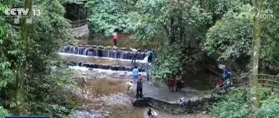 探秘哀牢山，千万别进入未开放区！景区最新提醒→