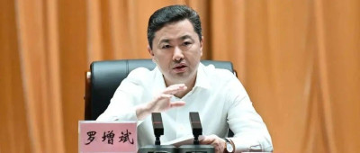 海口市委书记罗增斌，被查