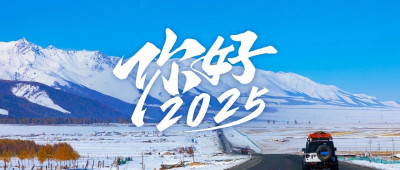 12张图，速览2025