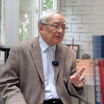 奥数国家队原主教练单墫：数学的本质是自由