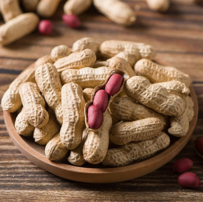 “白胖子”如何变身“金豆子”？🤩