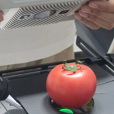 “智慧番茄”诞生记