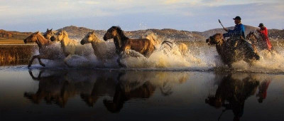 拼多多「改造」马背生意