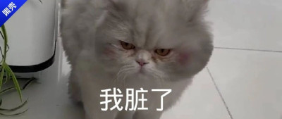 冬天不能每天洗澡真不是人脏，而是因为……