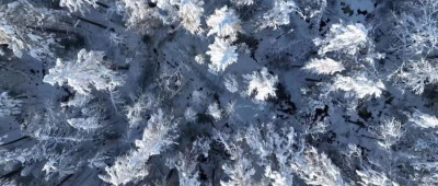 一年积雪期近200天！生活在“冰雪之都”该如何御寒？