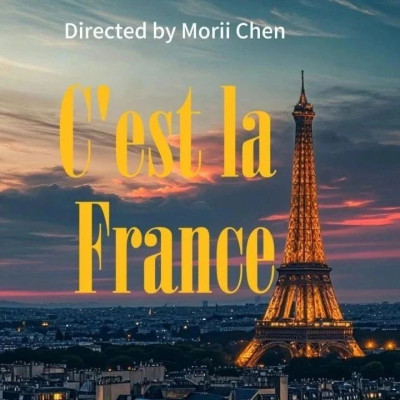 “影像的桥梁——中法青年微视频大赛”完美收官