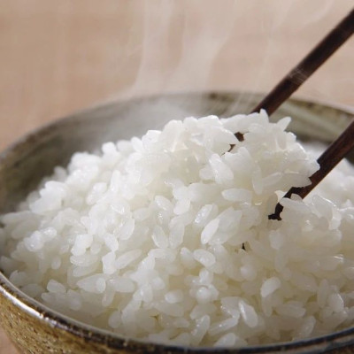 2024纯正五常新米上市，农民直销，空口吃都香