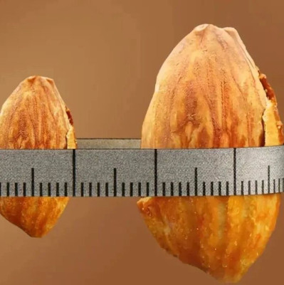 年货已经卷到这种程度