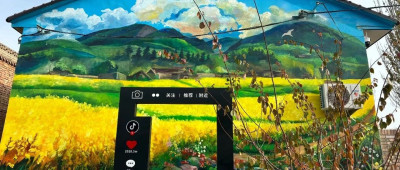 被称为“塞上主播第一村”，凭啥？