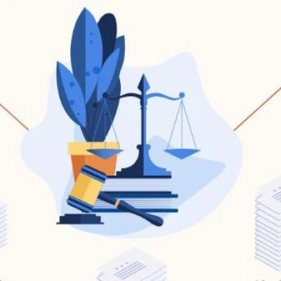 888元买龟被罚12万？法院发出行政调解书