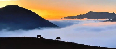 既要又要还要？那就去西宁吧！