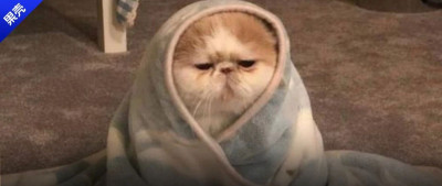 羊毛真的一洗就缩水吗？那为啥一降温都抢着穿？