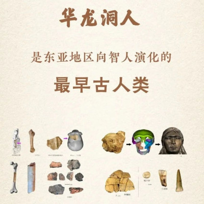 华龙洞人是东亚地区向智人演化的最早古人类