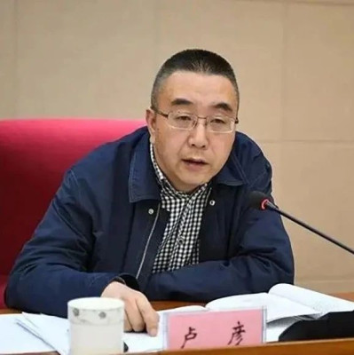 青海省委宣传部原副部长卢彦，被查