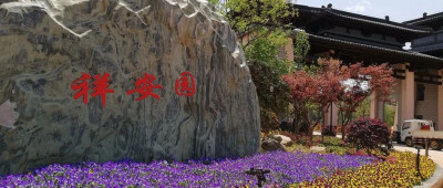 陵园拿错骨灰葬错人？“我母亲的骨灰盒从他人墓地里取出来”