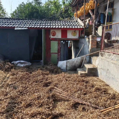 凌晨黑熊闯入家中，“妻子重伤丈夫持斧击杀黑熊”