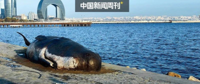 两万亿的资金大战，谁输了？