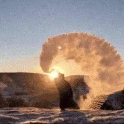 这个“特产”有点危险，别轻易尝试