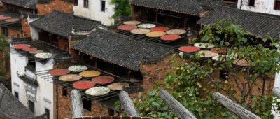 品读 | “盖章打卡式旅游”的乐趣