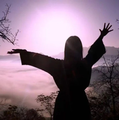 李子柒，一夜涨粉380万