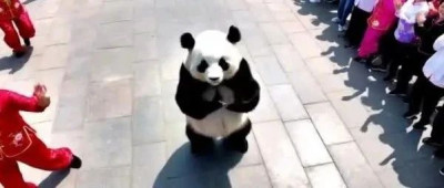 好消息！“花花”24小时营业