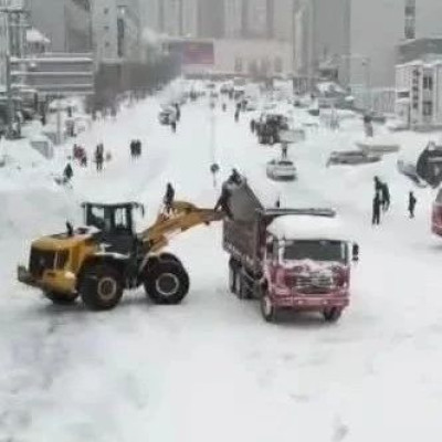 停课！停工！停运！这里“冻”真格了→