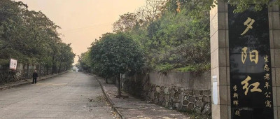 夕阳红公寓爆雷：一场疯狂的庞氏骗局走向崩塌