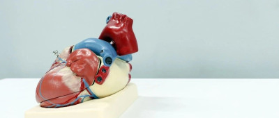 在太空停留一个月，心脏就就可能出现衰老迹象 | 环球科学要闻