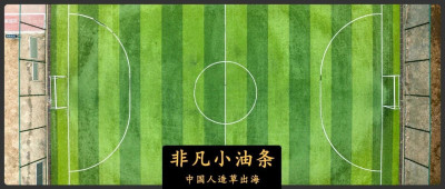 中国造的人造草，拿下世界半壁江山