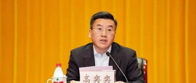 诬告陷害纪检监察干部，高奕奕被开除党籍