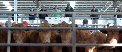 中方确认：解除限制