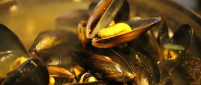 有人吃下海贝后永久失忆，这种可怕的事情或许越来越容易发生了