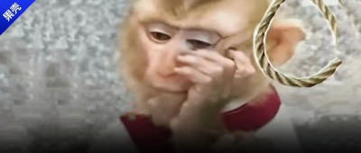 天都塌了，托朋友从欧洲高价托运回来的暖气，竟然是老家产的……