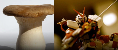 起猛了，竟然看见杏鲍菇在驾驶机器人