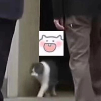 泽连斯基刚进屋，“首席捕鼠官”溜走