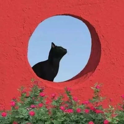 七言 | 我不感恩，也不抱怨