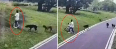 江西一对母女在公园遭四条大型犬撕咬约3分钟，伤口最深处已见骨头