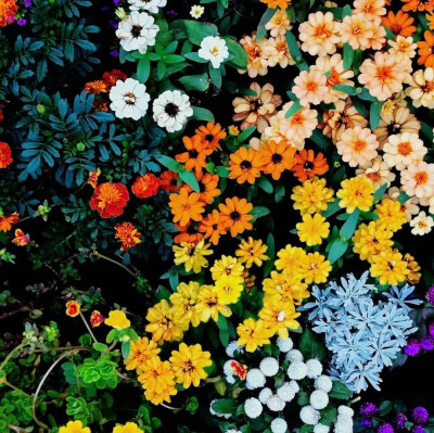 七言 | 拒绝精神内耗，有事直接发飙