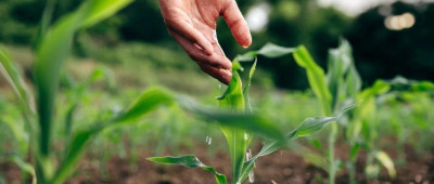 品读 | 春倌说春