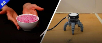 蘑菇开车满地跑，米饭疯狂长出血肉，这世界还能再抽象点吗？