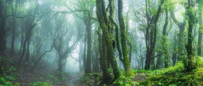 爆 火 的 哀 牢 山 ，是 什 么 来 头 ？