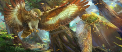 浏览百科词条的人，行为可以分为三类；古蝉如何获得强大飞行能力｜环球科学要闻