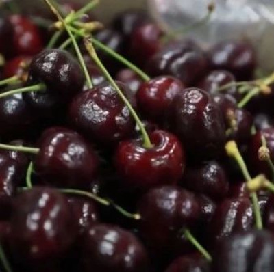 超2万吨车厘子，来了！