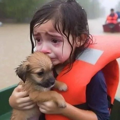 比飓风更可怕的，是一张 AI 生成图片