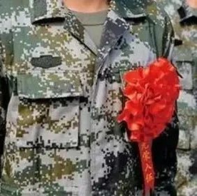 田某某，不得录用为公务员！