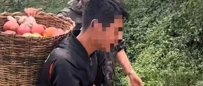 哥哥考上北大，弟弟辍学卖苹果？真相是......