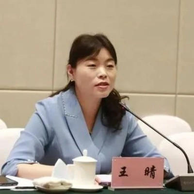 “80后”王晴，已任县委书记