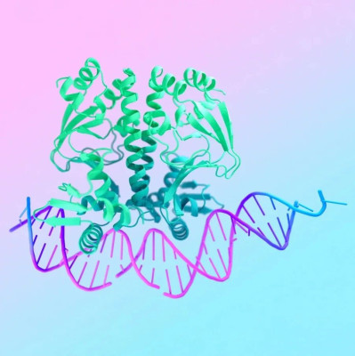 因为一个“很难，很重要的问题”，我从计算机转向研究蛋白质