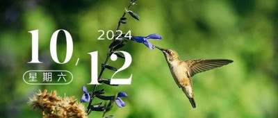 活着的每一天，都是奇迹