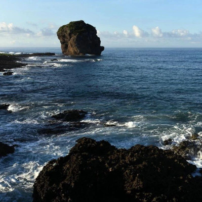 马英九基金会：台当局已同意